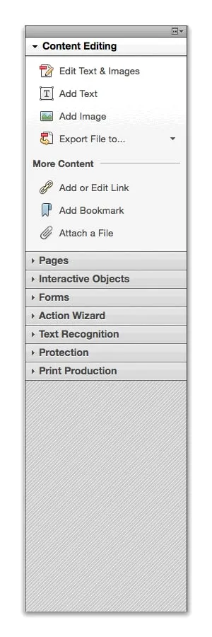 Narrow tools pane with Content Editing open, listing edit text, add text, add image and export, above collapsed sections for Pages, Forms, Action Wizard and more.